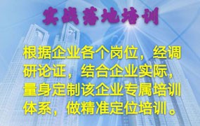 实战落地培训